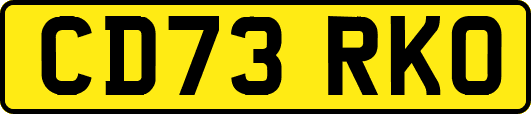 CD73RKO