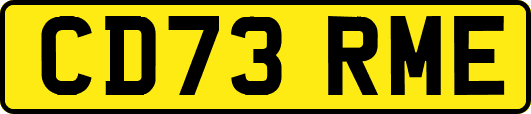 CD73RME