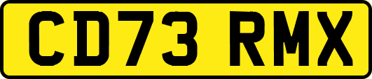 CD73RMX