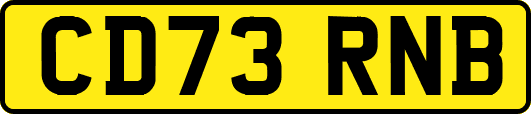 CD73RNB