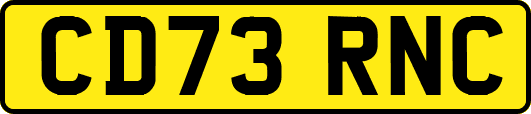 CD73RNC