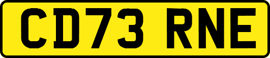 CD73RNE