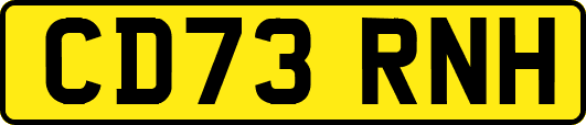 CD73RNH