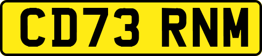 CD73RNM