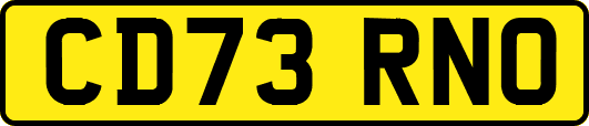 CD73RNO