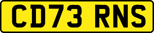 CD73RNS