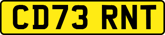 CD73RNT
