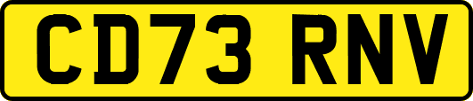 CD73RNV