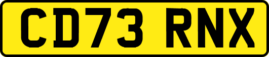 CD73RNX