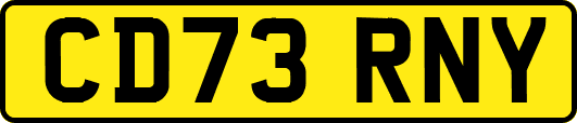 CD73RNY