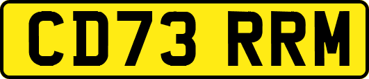 CD73RRM