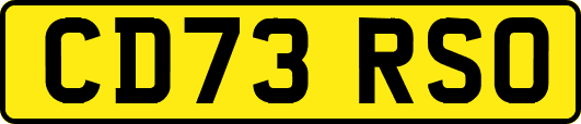CD73RSO