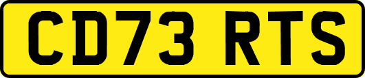 CD73RTS