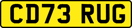 CD73RUG