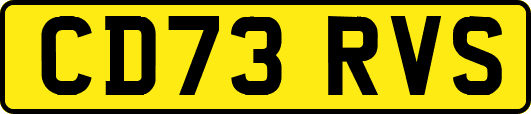 CD73RVS