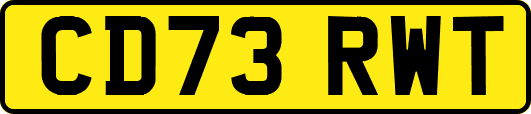 CD73RWT