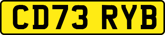 CD73RYB