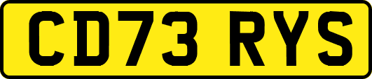 CD73RYS