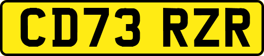 CD73RZR
