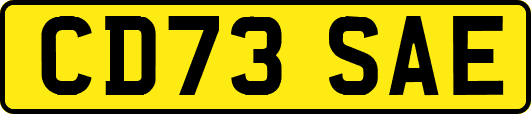 CD73SAE