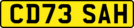 CD73SAH