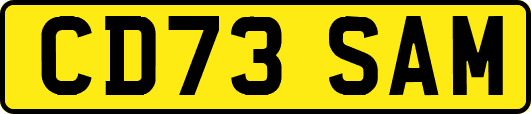 CD73SAM