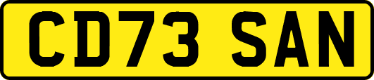 CD73SAN