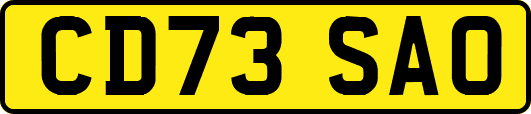 CD73SAO