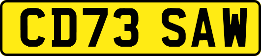 CD73SAW
