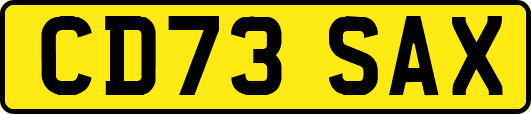 CD73SAX