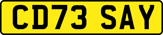 CD73SAY