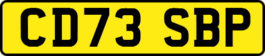 CD73SBP