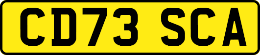 CD73SCA