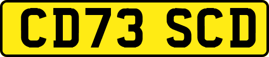 CD73SCD
