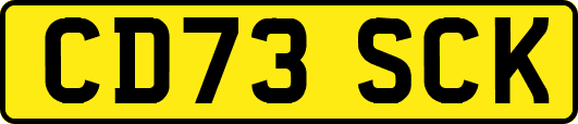CD73SCK