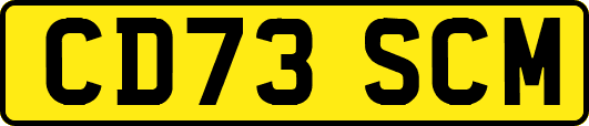 CD73SCM