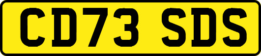 CD73SDS