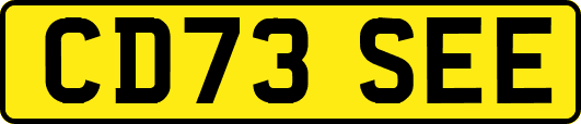 CD73SEE