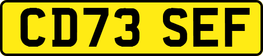 CD73SEF