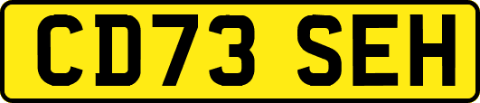 CD73SEH