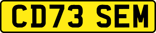 CD73SEM