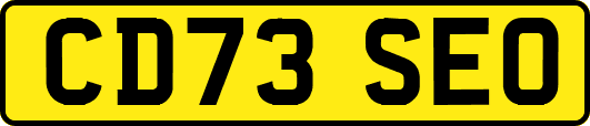 CD73SEO