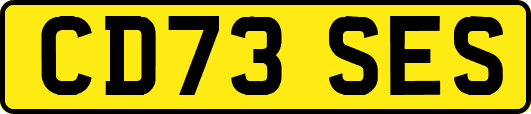 CD73SES