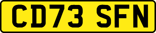 CD73SFN
