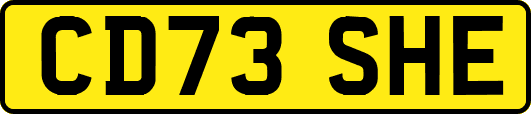 CD73SHE