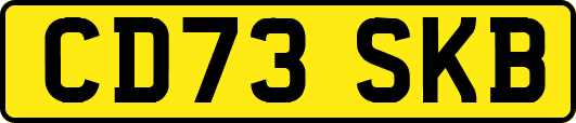 CD73SKB