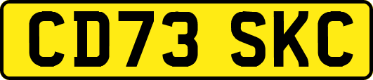 CD73SKC
