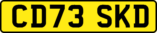 CD73SKD