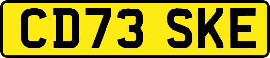 CD73SKE
