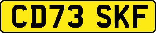 CD73SKF
